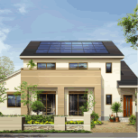 �J�g�����z�[���̓����E�]���E�]��