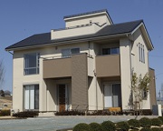 �T�[���Z��̓����E�]���E�]��