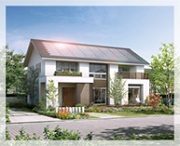 �E�B�U�[�X�z�[���i�V���a�j�̓����E�]���E�]��