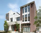 ���}�q�T�̓����E�]���E�]��