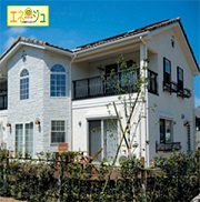 ���}�g�Z���̓����E�]���E�]��